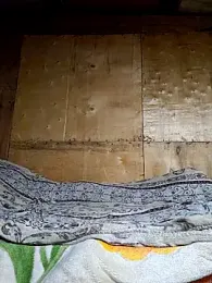 Carlosfkf webcam model stream image