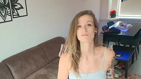 SennFL webcam model stream image
