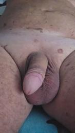 Tannenzipfel webcam model stream image