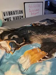 secret_dream415 webcam stripchat model stream image