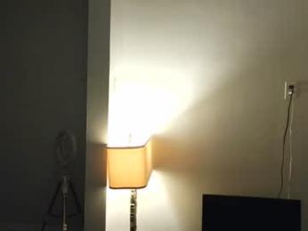 domd3 webcam model stream image