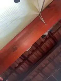 sammoura01 webcam stripchat model stream image