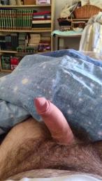 Cuddly2 webcam model stream image