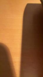 Pispol8 webcam cam4 model stream image