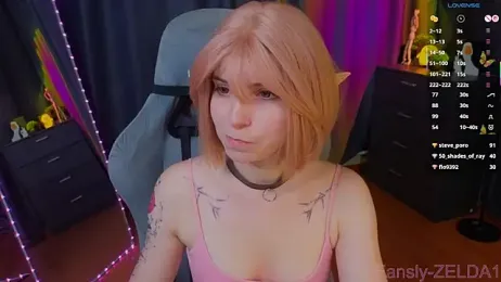 zelda_1 webcam model stream image