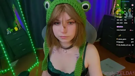 zelda_1 webcam model stream image