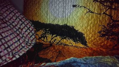 jamismu webcam model stream image