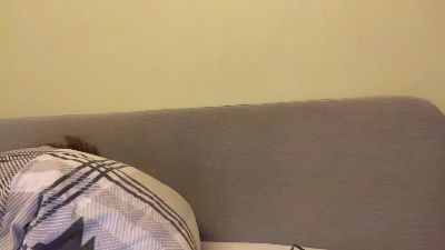 nicedick95 webcam model stream image