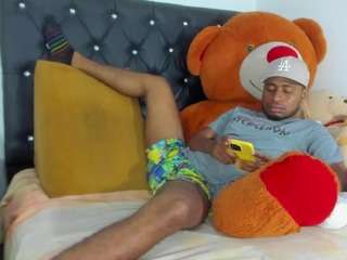 prince-gemini webcam model stream image
