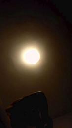 trigue2323 webcam model stream image