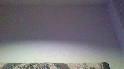 vic_victor webcam model stream image