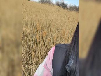 -Briana-LX- webcam bongacams model stream image