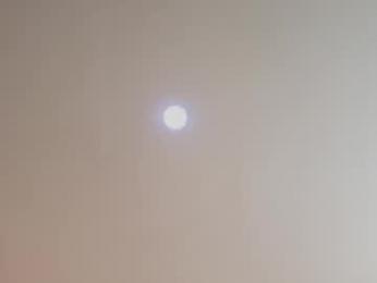 clark_strong webcam model stream image