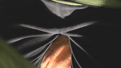 MEFOLLOENCIMA webcam model stream image