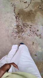 Exoticboy24 webcam model stream image