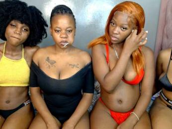 Royal309 webcam bongacams model stream image