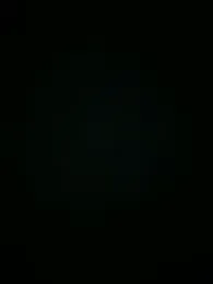 Turkishleo webcam model stream image