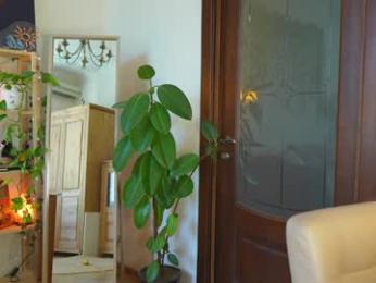 eli_sun chaturbate stream image, 02.07.2025 08:50