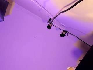 apotheosiss camsoda stream image, 20.07.2025 10:30