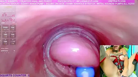 MaryBrook1 stripchat stream image, 27.07.2025 20:40