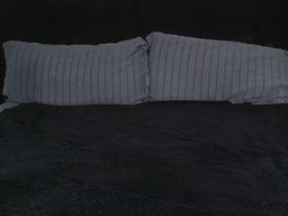 misszylahd camsoda stream image, 10.11.2025 13:30