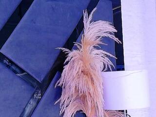 Kylie Whitee flirt4free stream image, 09.12.2025 10:50