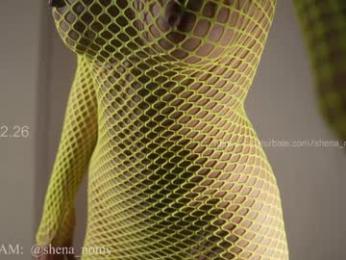 shena_nomy chaturbate stream image, 01.02.2026 23:10