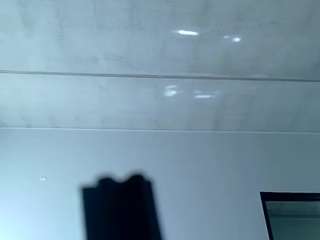 royalnerfititi camsoda stream image, 02.02.2026 11:50