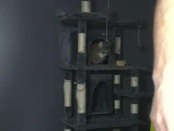 sydaffect chaturbate stream image