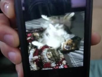 sydaffect chaturbate stream image