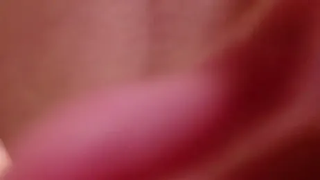 maataaan stripchat stream image, 11.04.2026 04:20