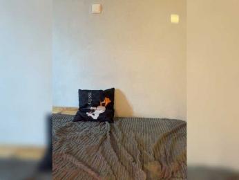 Saliss1 bongacams stream image, 11.05.2026 06:50