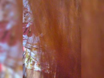 Flirt_Red bongacams stream image, 15.08.2026 19:20