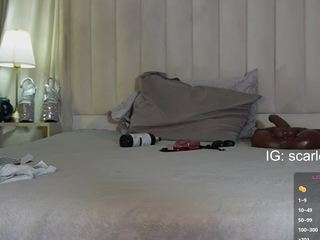 scarlett-harper camsoda stream image, 24.09.2026 02:20