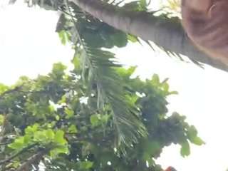 cheerrybomb camsoda stream image