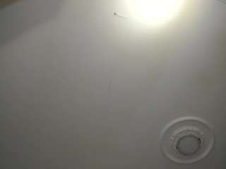apotheosiss camsoda stream image, 29.03.2025 05:00