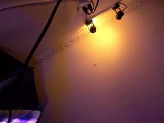 apotheosiss camsoda stream image, 02.04.2025 00:00