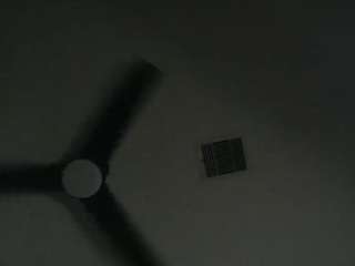 misszylahd camsoda stream image, 10.04.2025 03:40