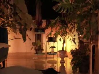 effylowell_ chaturbate stream image, 17.04.2025 00:30