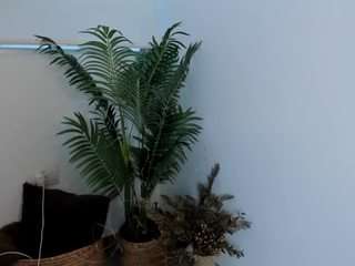 annwill camsoda stream image, 03.05.2025 21:10